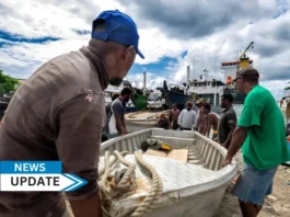 The Asian Development Bank (ADB) is providing the Government of Solomon Islands with the second tranche of financing for its Land and Maritime Connectivity Project totaling $53 million. The project is strengthening transport infrastructure in the Solomon Islands. The Land and Maritime Connectivity Project was approved by the ADB Board in June 2021, to be funded by a concessional loan of $74.4 million and a grant of $74.5 million. The grant is sourced from the Asian Development Fund, which provides grants to ADB’s poorest and most vulnerable developing member countries. The Government of Solomon Islands contributes the remaining $21.8 million of the project’s overall cost of almost $171 million. The project is a 10-year multitranche financing facility, enabling ADB’s long-term support to the country’s transport sector. Tranche 2 will continue rehabilitating and climate-proofing road transport infrastructure from the first tranche. Works on the remaining 26 kilometers (km) of the Henderson–Mberande road section have commenced, while rehabilitating the 1.7 km Honiara City Council–Ground section and upgrading the 3.1 km Town Ground–White River section are ongoing. Both are critical road links on Guadalcanal Island. Climate resilience features are integrated into the road design to ensure all-year access along the east-west corridor on the island. After the completion of civil work, 5-year performance-based maintenance will follow to sustain road quality and endurance. Maritime transport infrastructure will be improved in the second tranche, with work beginning for the provincial wharves under the project in Kira Kira and work in Ahanga expected to start soon. Marketplaces and passenger buildings will be included as part of the provincial wharves. Support for institutional improvement is a key element of the project, particularly in the second tranche. Part of the support is to develop a gender strategy to support women in technical and leadership roles in the Ministry of Infrastructure Development. ADB is committed to achieving a prosperous, inclusive, resilient, and sustainable Asia and the Pacific while sustaining its efforts to eradicate extreme poverty. Established in 1966, it is owned by 69 members—49 from the region.