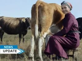 The Asian Development Bank (ADB) and APU Dairy LLC have signed a $20 million (equivalent in Mongolian togrog) loan to support nomadic herders by integrating them into the dairy value chain, enhancing dairy processing capacity, and promoting sustainable herd management practices.