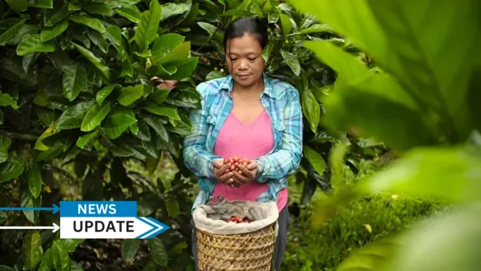 The Asian Development Bank (ADB) has signed a $100 million loan agreement with ECOM Agroindustrial Corporation Limited and ECOM Agroindustrial Asia Private Limited (ECOM) to enhance the climate resilience of the region's coffee value chain. The agreement will benefit more than 62,000 smallholder farmers in India, Indonesia, Papua New Guinea (PNG), and Viet Nam.