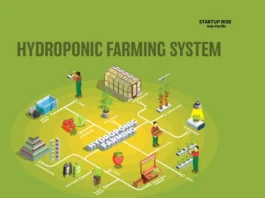 Hydroponic farming system uses limited space, 90% less water than traditional agriculture. Here is everything you need to know about the Hydroponic Farming System.