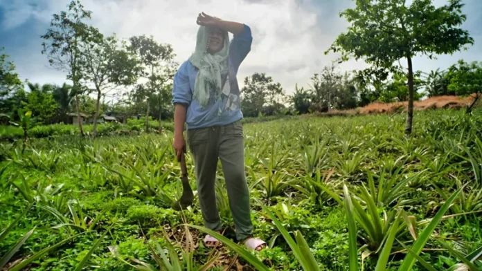 The Asian Development Bank (ADB) has approved a $500 million policy-based loan to provide the Philippines with quick access to financing in case of disasters triggered by natural hazards or health-related emergencies.