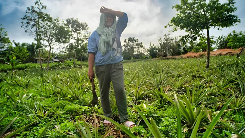 The Asian Development Bank (ADB) has approved a $500 million policy-based loan to provide the Philippines with quick access to financing in case of disasters triggered by natural hazards or health-related emergencies.
