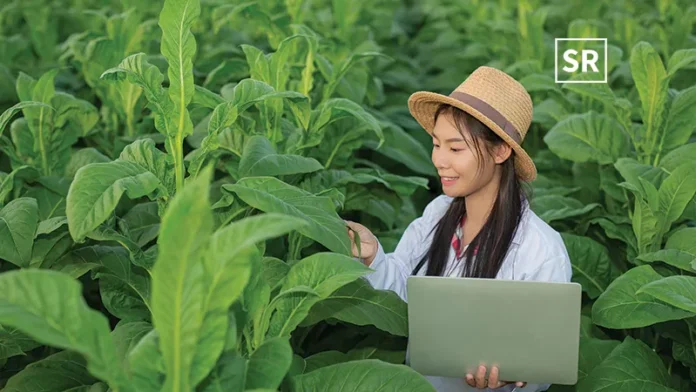 Hong Kong's agritech sector is rapidly growing, with over 55 startups innovating in agriculture and food systems. AgriBuddy, Livin Farms, EcoMatcher, Pacific GeneTech, LetPot, HortiPower, Anmez, Growgreen are top agritech startup in Hong Kong.