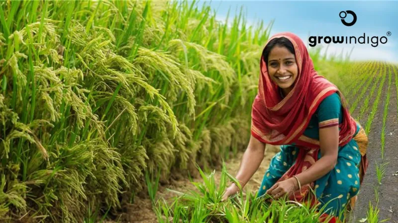 Agritech Startup Grow Indigo Secures $10 Million from British International Investment (BII)