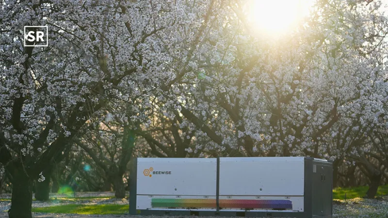 Beewise Raises $50M to Protect Bees and Secure Global Food Supply