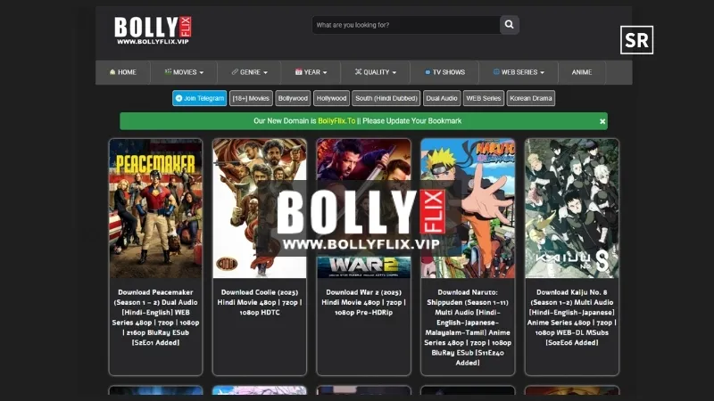 Bollyflix Website Info