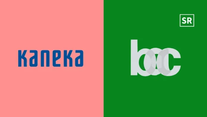 Kaneka Teams Up with BACRE to Launch $7M Biomass Steam Plant in Malaysia