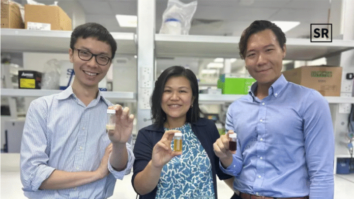 Terra Oleo Raises $3.1M to Advance Sustainable Palm Oil and Cocoa Alternatives