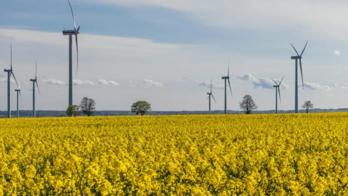 EFB Green Energy Launches Breakthrough Solution to Turn Palm Oil Waste into Clean Energy