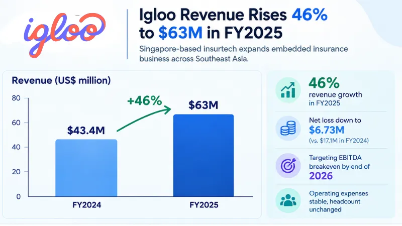 Igloo revenue growth 