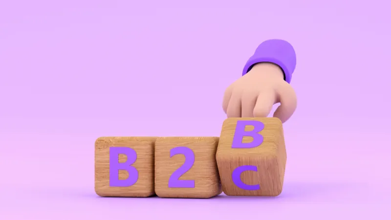 You Decide Between B2B and B2C Customers