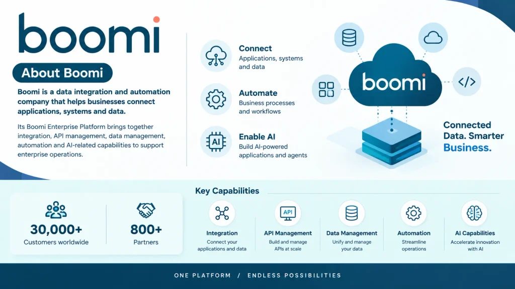 About Boomi company