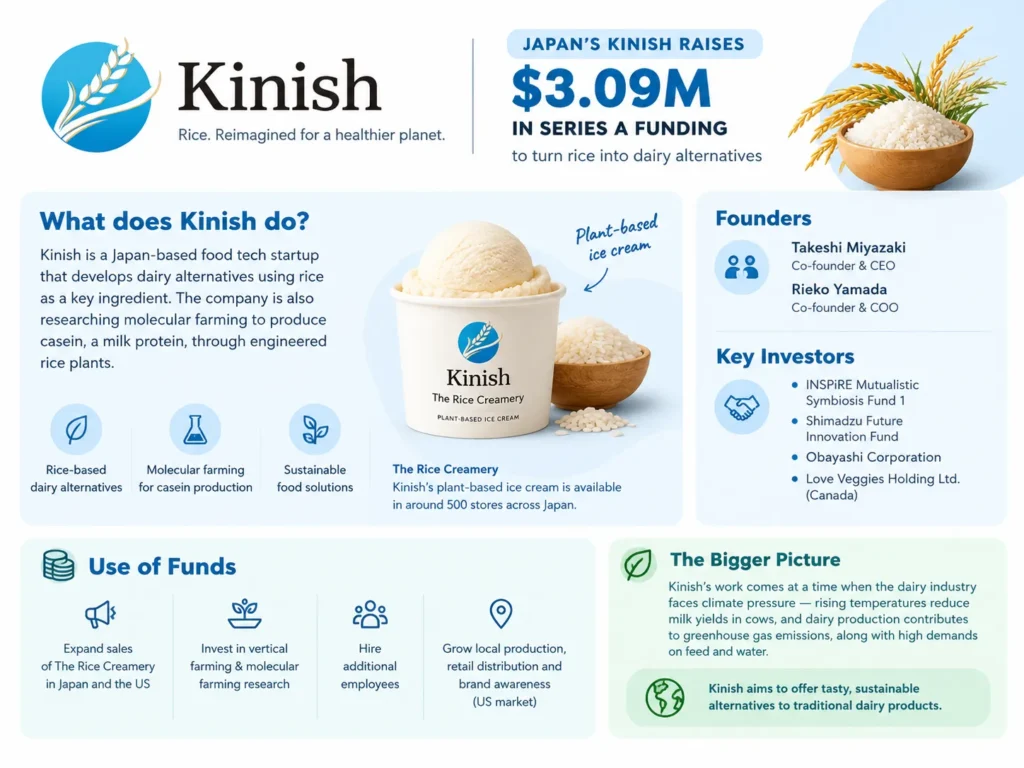 About Kinish